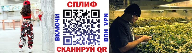 Марихуана MAZAR  Купить закладки  Фокино 
